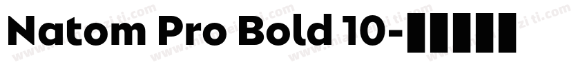 Natom Pro Bold 10字体转换